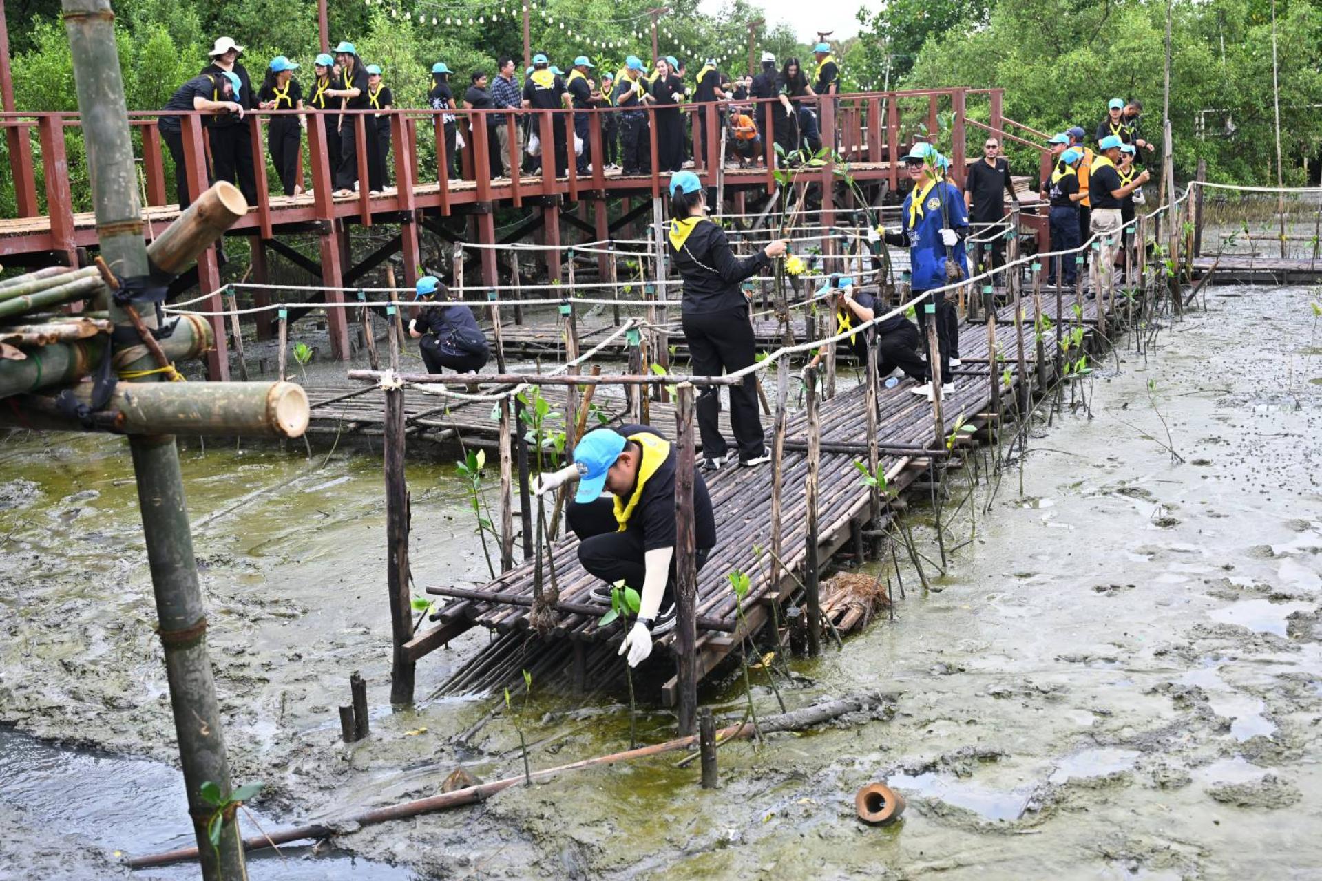 เทศบาลเมืองดอนหัวฬ่อ ร่วมกิจกรรมจิตอาสาพัฒนา เนื่องในวันมหิดล น้อมรำลึกในพระมหากรุณาธิคุณ “พระบิดาแห่งการแพทย์แผนปัจจุบันของไทย”