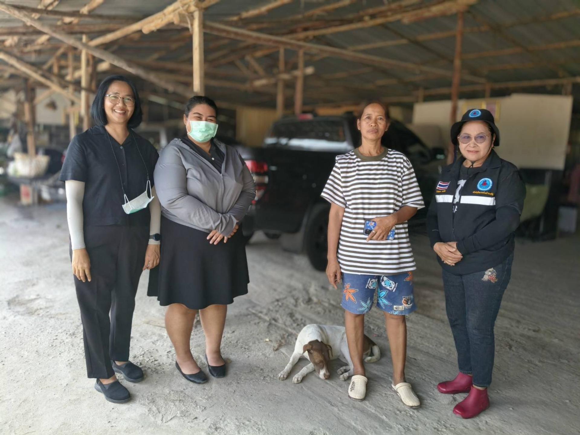 กองสาธารณสุขและสิ่งแวดล้อม ลงพื้นที่สำรวจและรวบรวมข้อมูลสุนัขและแมวจรจัด เพื่อลงทะเบียนผ่าตัดทำหมัน